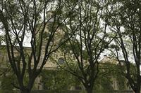 Cjp_2015_11_10_114210.jpg