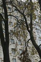 Cjp_2015_11_10_114344.jpg