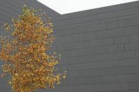 Cjp_2015_11_10_115116.jpg