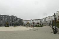 Cjp_2015_11_10_121648.jpg