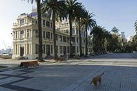 Cjp_2015_11_14_091840.jpg