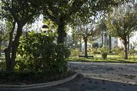 Cjp_2015_11_14_092406.jpg