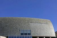 Cjp_2015_11_14_101036.jpg