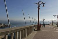 Cjp_2015_11_14_103546.jpg