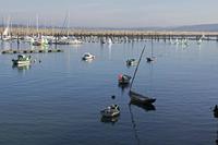 Cjp_2015_11_14_111014.jpg