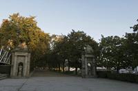 Cjp_2015_11_15_080422.jpg