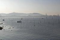 Cjp_2015_11_15_094544.jpg