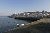Cjp_2015_11_15_094800.jpg