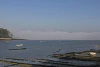 Cjp_2015_11_15_095334.jpg