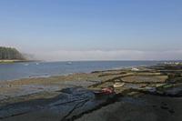 Cjp_2015_11_15_095448.jpg