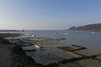Cjp_2015_11_15_095606.jpg