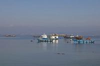 Cjp_2015_11_15_125356.jpg