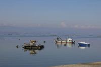 Cjp_2015_11_15_125558.jpg