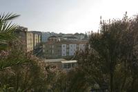Cjp_2015_11_15_145048.jpg