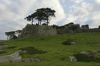 Cjp_2015_11_16_081216.jpg