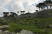 Cjp_2015_11_16_081316.jpg
