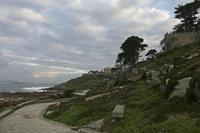 Cjp_2015_11_16_081342.jpg
