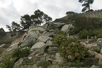 Cjp_2015_11_16_082356.jpg