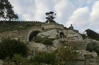 Cjp_2015_11_16_082410.jpg