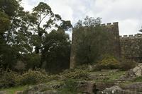 Cjp_2015_11_16_083242.jpg