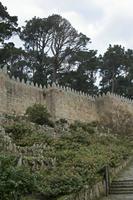 Cjp_2015_11_16_083738.jpg