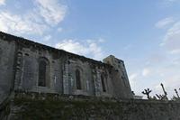 Cjp_2015_11_16_085010.jpg