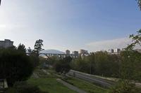 Cjp_2015_11_16_133602.jpg