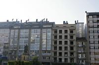 Cjp_2015_11_16_135406.jpg