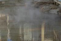 Cjp_2015_11_16_142612.jpg