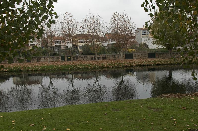 Cjp_2015_11_17_080118.jpg