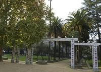 Cjp_2015_11_16_152656.jpg