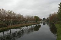 Cjp_2015_11_17_080230.jpg