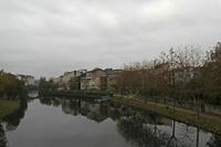 Cjp_2015_11_17_080248.jpg