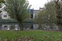 Cjp_2015_11_17_080450.jpg