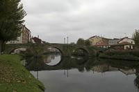 Cjp_2015_11_17_080614.jpg