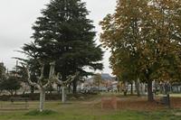 Cjp_2015_11_17_083126.jpg