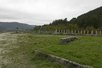Cjp_2015_11_17_131516.jpg