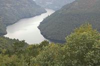 Cjp_2015_11_17_131558.jpg