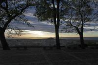 Cjp_2015_11_22_075430.jpg