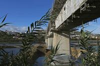 Cjp_2015_11_22_145858.jpg