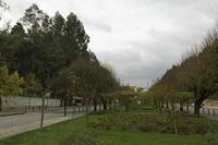 Cjp_2015_11_25_153928.jpg