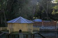 Cjp_2015_11_26_144302.jpg