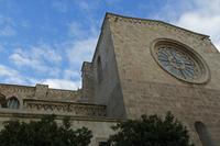 Cjp_2016_03_08_071400.jpg