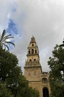 Cjp_2016_03_20_074816.jpg