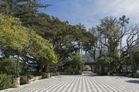 Cjp_2016_03_24_130020.jpg