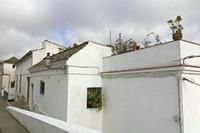 Cjp_2016_03_25_093958.jpg