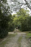 Cjp_2016_04_02_140312.jpg
