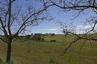 Cjp_2016_04_06_143758.jpg