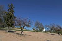 Cjp_2016_04_06_154114.jpg