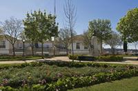 Cjp_2016_04_07_155248.jpg